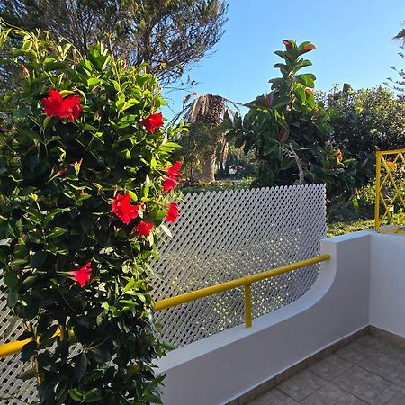 וילהמורה Apartamento Victoria מראה חיצוני תמונה