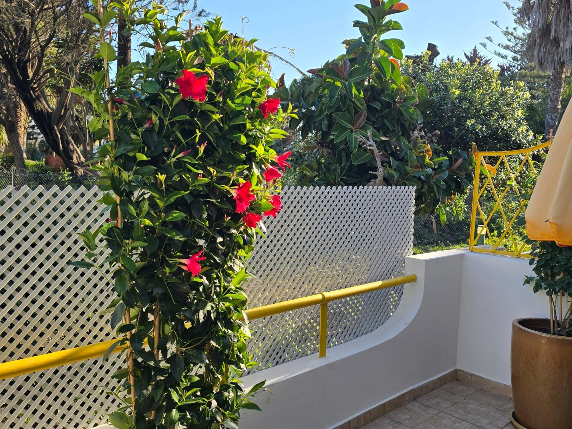וילהמורה Apartamento Victoria מראה חיצוני תמונה